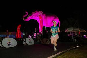 BIB: 
                            <button type="button" onclick="openModal(26543640)" class="btn btn-primary btn-sm float-right btn-popup" data-toggle="modal" data-target=".modal-high-quality">
                        <i class="fas fa-shopping-cart"></i> Add to Cart
                    </button>
                                            <button type="button" onclick="isThisMe(26543640, true)" class="btn btn-success btn-sm float-right btn-popup btn-isme hidden" data-toggle="tooltip" data-placement="bottom" title="นี่คือรูปของคุณใช่ไหม คลิกที่นี่เพื่อเอาเข้าอัลบั้ม">
                        <i class="fas fa-plus"></i> Add to album
                    </button>
                    <button type="button" onclick="isThisMe(26543640, false)" class="btn btn-warning btn-sm float-right btn-popup btn-isnotme hidden">
                        <i class="fas fa-ban"></i> Remove from album
                    </button>